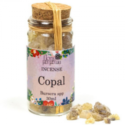 Copal Bursera (Africa) Incenso in resina - Flora Perpetua
