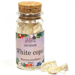 Copal Bianco Incenso in resina Flora Perpetua