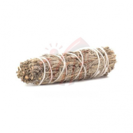 Salvia Blu Smudge - (10-12cm - 35-40gr.)