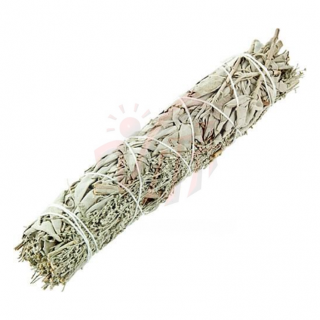 Salvia Bianca e Salvia Blu Smudge - (10-12cm - 20-30gr)