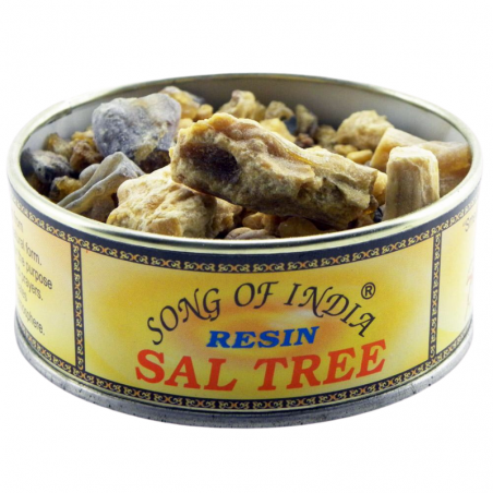 Albero del Sale Resina Incenso Song of India - 60gr.